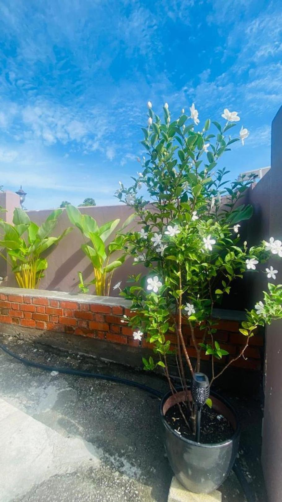 Motel Seri Mutiara Куах Экстерьер фото